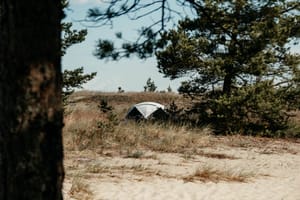 Estland: Campingplätze, die Natur pur sind