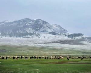 Urlaub in Abgeschiedenheit: Dieses Land wird dich überraschen