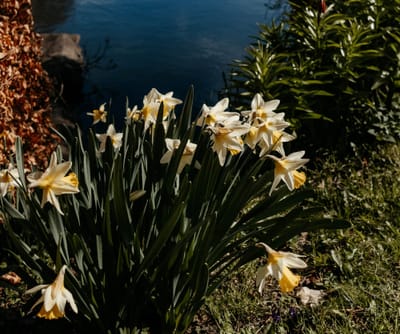 Guter Start in den Frühling: Ausflug, Mikroabenteuer & Naturfreuden