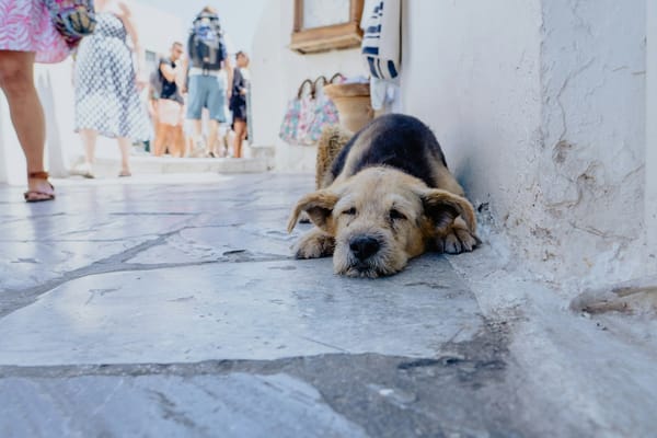 Santorin: Klima hat sich buchstäblich verschlechtert