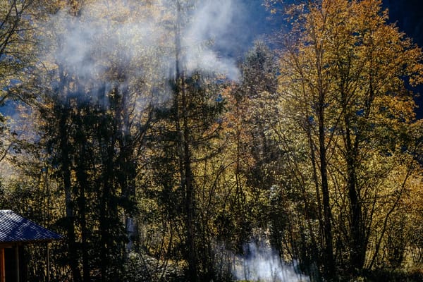 Die 7 schönsten Wälder in Deutschland für einen Herbstspaziergang