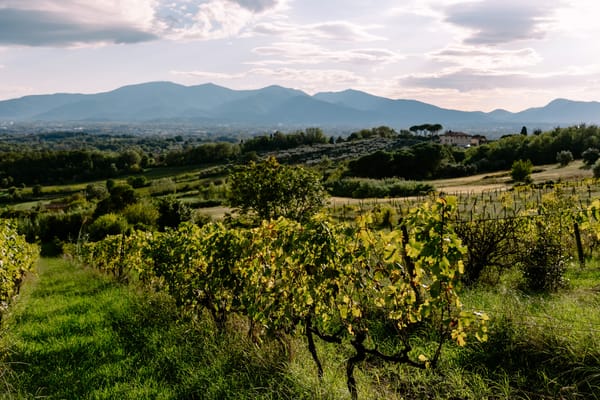 Italien: Urlaub nahe Weinreben, in den Bergen und am Meer